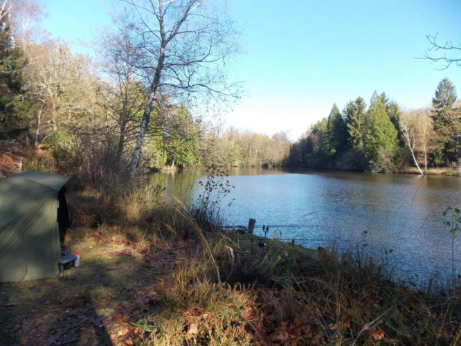 Photos 6 - Forestière - Etang