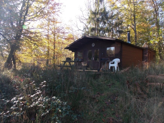 Photos 9 - Forestière - Etang