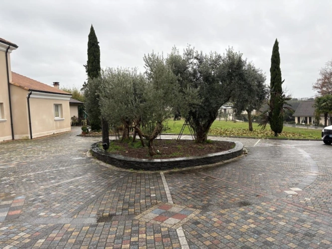 Photos 4 - Prestige - Maison