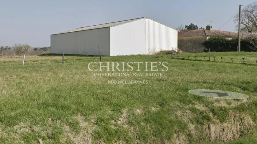 Photos 2 - Viticole - A vendre – Parcelle de vignes en AOP Bordeaux avec bâtiment agricole - Entre-Deux-mer