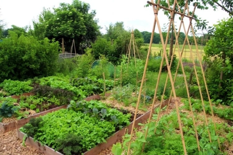 Photos 18 - Touristique - PROPRIETE avec FERME rénovée T8 - TERRAIN de 7100 m2 proche CHARMES (88)
