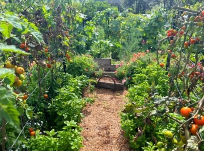 Photos 21 - Touristique - PROPRIETE avec FERME rénovée T8 - TERRAIN de 7100 m2 proche CHARMES (88)