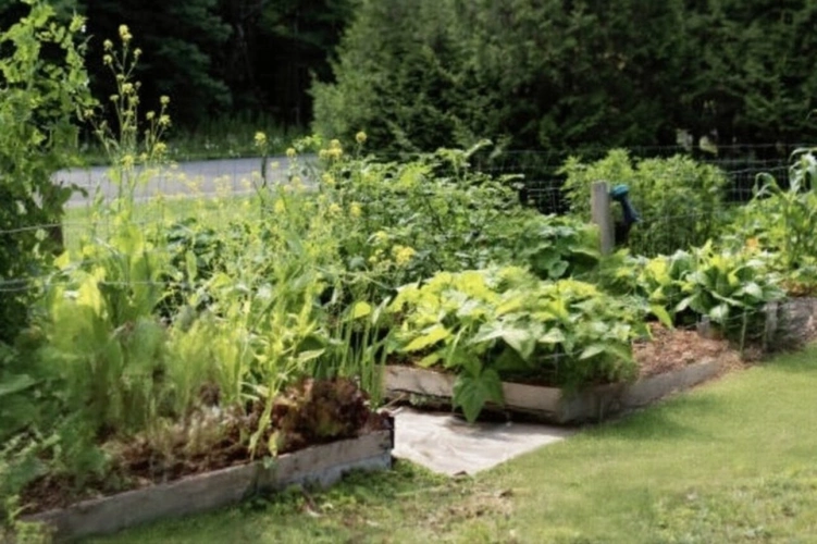 Photos 22 - Touristique - PROPRIETE avec FERME rénovée T8 - TERRAIN de 7100 m2 proche CHARMES (88)