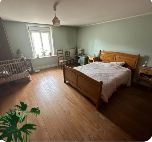 Photos 5 - Touristique - Propriete à vendre 7 pièces proche CHARMES (88) FERME & HANGAR sur 7500 m2 TERRAIN