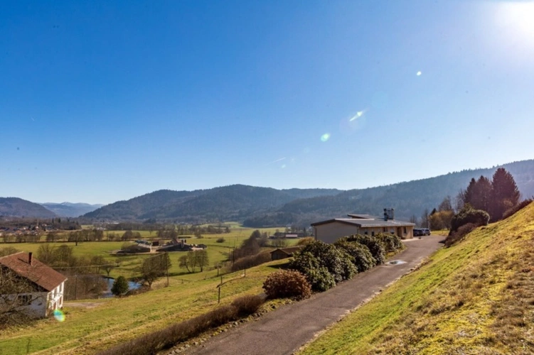 Photos 4 - Prestige - RUPT SUR MOSELLE (88)A vendre propriété T 10 pièces de 195m² sur sous sol + 4 box à chevaux +rucher, terrain 3.6 hectares