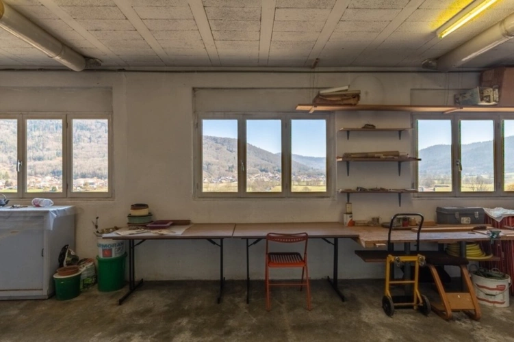 Photos 21 - Prestige - RUPT SUR MOSELLE (88)A vendre propriété T 10 pièces de 195m² sur sous sol + 4 box à chevaux +rucher, terrain 3.6 hectares