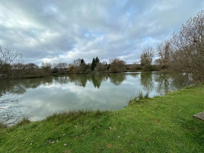 Photos 1 - Foncière - Terrain à vendre  MONTMIRAIL (72)