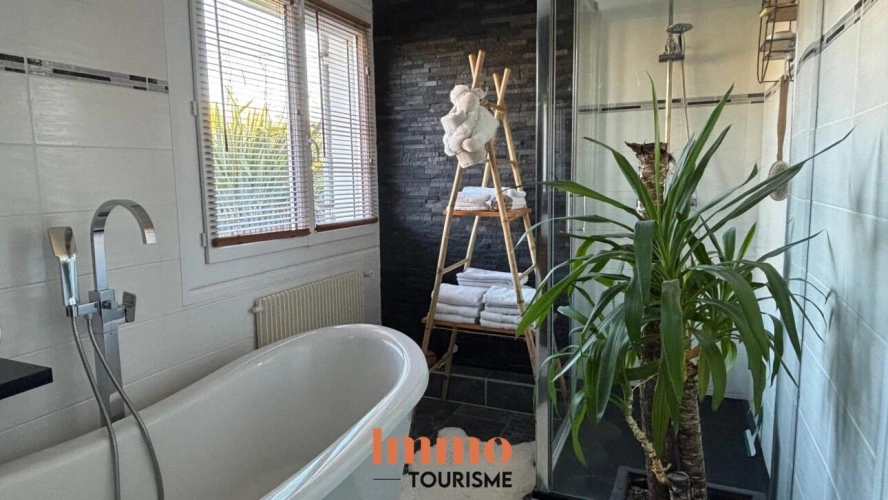 Photos 5 - Touristique - Superbe propriété aux portes de BORDEAUX avec 2 gîtes, aména