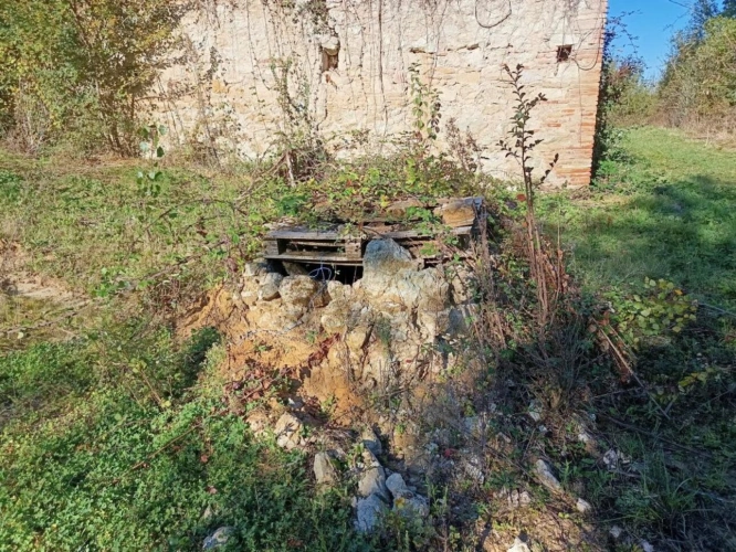 Photos 13 - Agricole - Terrain agricole