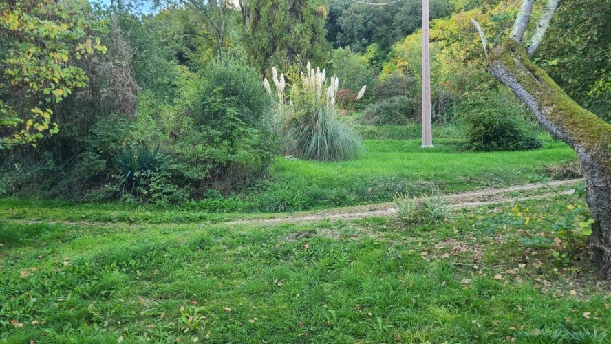 Photos 8 - Rurale - Maison de campagne