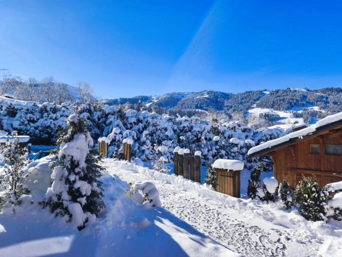 Photos 19 - Prestige - Chalet