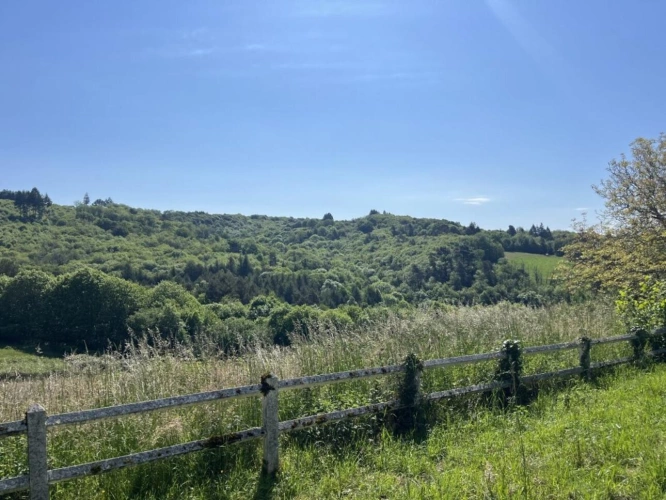 Photos 5 - Rurale - Propriété