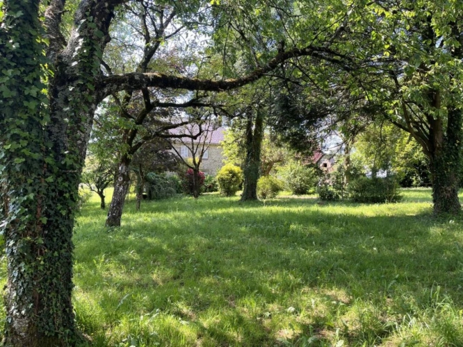 Photos 6 - Rurale - Propriété