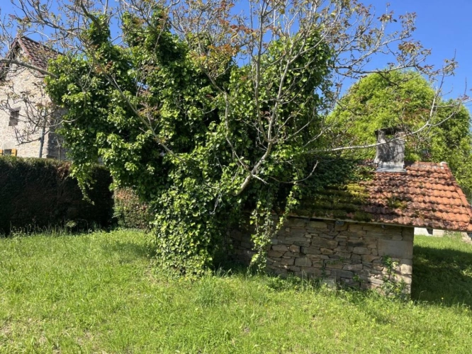 Photos 16 - Rurale - Propriété