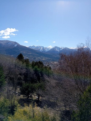 Photos 4 - Prestige - Propriété