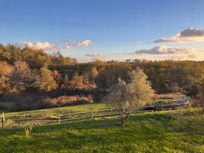 Photos 39 - Équestre - MARCIAC(32) proche, BELLE PROPRIETE GASCONNE 3ha, maison de maitre, 4 gîtes, piscine, boxes à chevaux