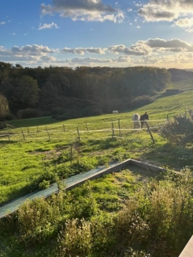 Photos 45 - Équestre - MARCIAC(32) proche, BELLE PROPRIETE GASCONNE 3ha, maison de maitre, 4 gîtes, piscine, boxes à chevaux