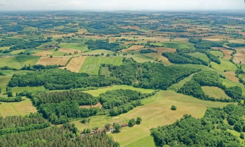 Photos 56 - Équestre - MARCIAC(32) proche, BELLE PROPRIETE GASCONNE 3ha, maison de maitre, 4 gîtes, piscine, boxes à chevaux