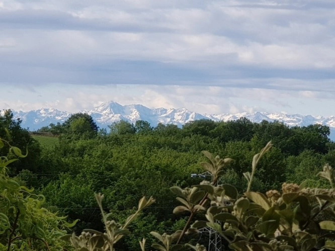 Photos 97 - Équestre - MARCIAC(32) proche, BELLE PROPRIETE GASCONNE 3ha, maison de maitre, 4 gîtes, piscine, boxes à chevaux