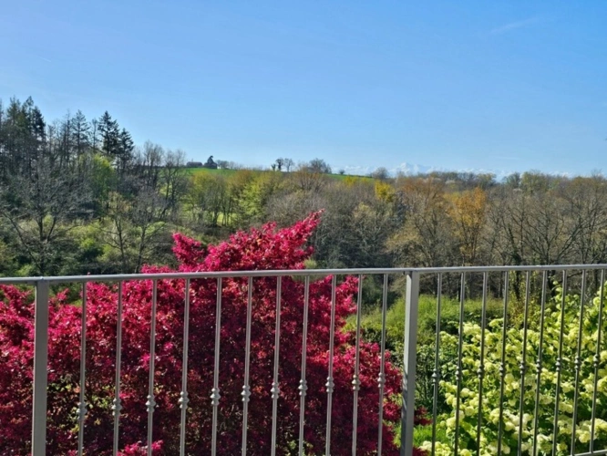 Photos 98 - Équestre - MARCIAC(32) proche, BELLE PROPRIETE GASCONNE 3ha, maison de maitre, 4 gîtes, piscine, boxes à chevaux