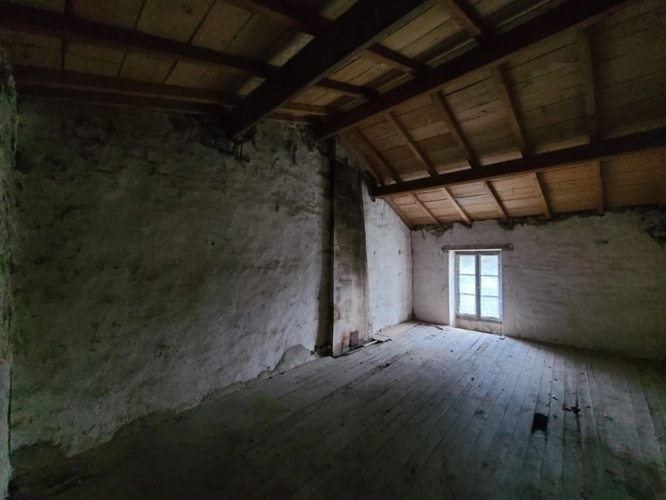 Photos 16 - Touristique - Maison à rénover avec dépendances NACHAMPS (17)