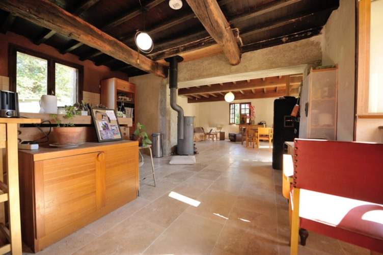 Photos 3 - Touristique - Propriete à vendre 3 pièces, dépendances sur 1.4 ha BALESTA (31)