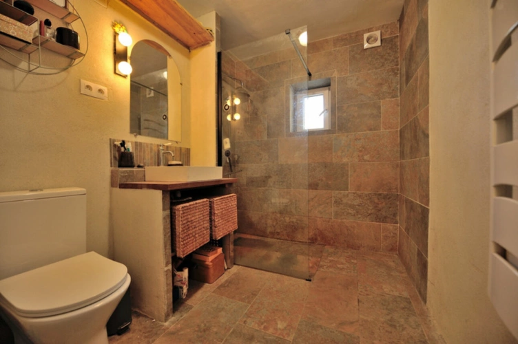 Photos 6 - Touristique - Propriete à vendre 3 pièces, dépendances sur 1.4 ha BALESTA (31)