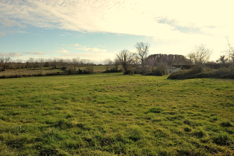 Photos 24 - Touristique - Propriete à vendre 3 pièces, dépendances sur 1.4 ha BALESTA (31)