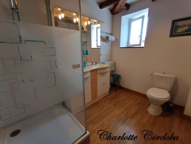 Photos 38 - Touristique - Vivez votre rêve : Ferme de caractère avec gîtes, chambres d’hôtes et potentiel incroyable à Feugarolles