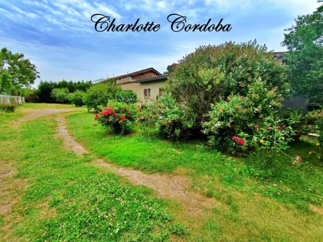 Photos 40 - Touristique - Vivez votre rêve : Ferme de caractère avec gîtes, chambres d’hôtes et potentiel incroyable à Feugarolles