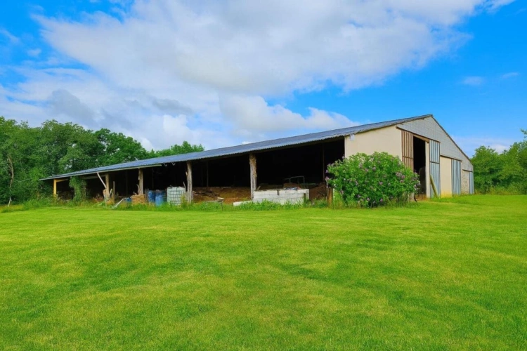 Photos 16 - Equestrian - House