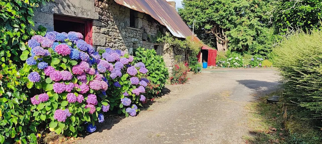 Photos 2 - Foncière - PETIT CORPS DE FERME AU PAYS DE VANNES