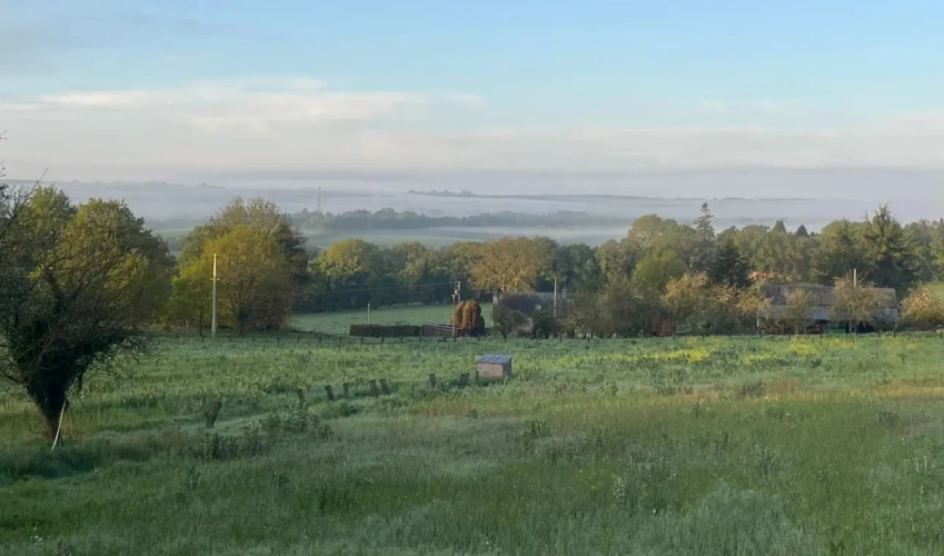 Photos 15 - Foncière - PETIT CORPS DE FERME AU PAYS DE VANNES