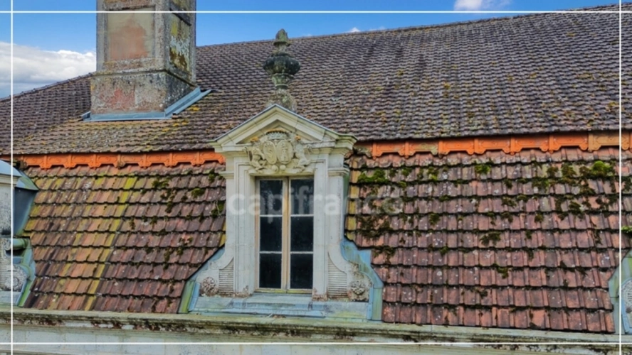 Photos 21 - Prestige - Dpt (32) NOGARO proche, ELEGANTE MAISON DE NOTABLES, économique, du XIXs 600M2, parc séculaire, dépendances en U, 11 ha, sans travaux