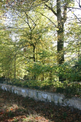 Photos 66 - Prestige - Dpt (32) NOGARO proche, ELEGANTE MAISON DE NOTABLES, économique, du XIXs 600M2, parc séculaire, dépendances en U, 11 ha, sans travaux