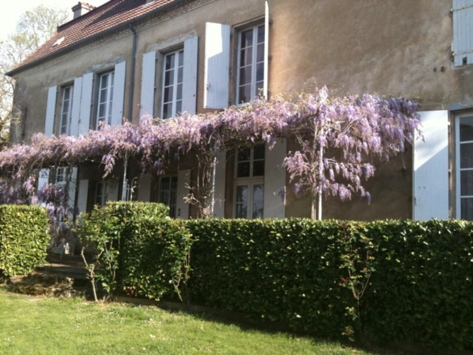 Photos 68 - Prestige - Dpt (32) NOGARO proche, ELEGANTE MAISON DE NOTABLES, économique, du XIXs 600M2, parc séculaire, dépendances en U, 11 ha, sans travaux