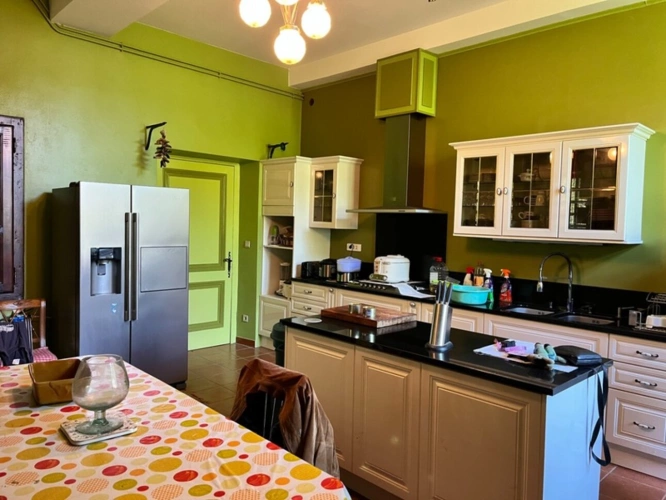 Photos 80 - Prestige - Dpt (32) NOGARO proche, ELEGANTE MAISON DE NOTABLES, économique, du XIXs 600M2, parc séculaire, dépendances en U, 11 ha, sans travaux