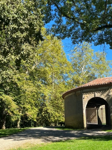 Photos 64 - Prestige - TARBES 40minutes, Beau CHATEAU dominant sur 8ha ideal acueil public, EVENEMENTIEL, résidence séniors, communauté, habitat partagé