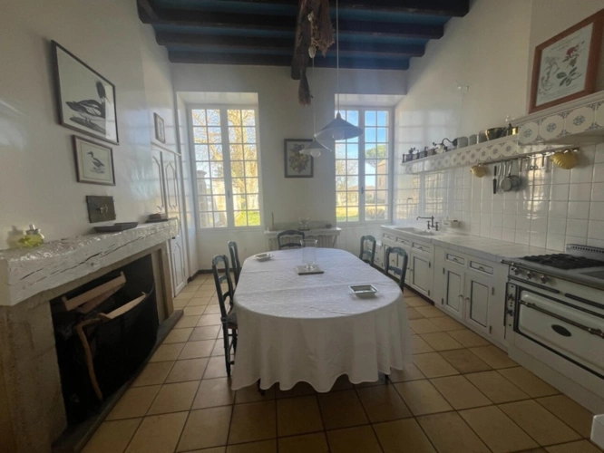 Photos 51 - Prestige - Elégant CHATEAU XIXs sur 70 ha, VUE PANORAMIQUE PYRÉNÉES, au bout d 'une allée,  Toulouse-Blagnac 1h30