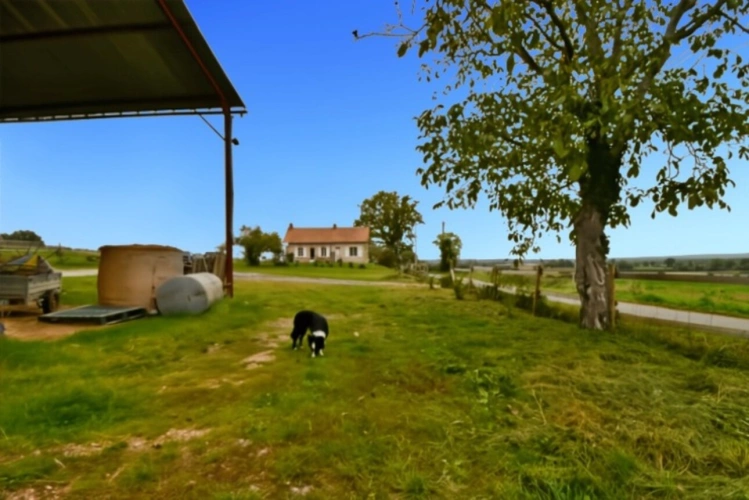 Photos 20 - Équestre - Propriete à vendre 4 pièces VALLON EN SULLY (03)