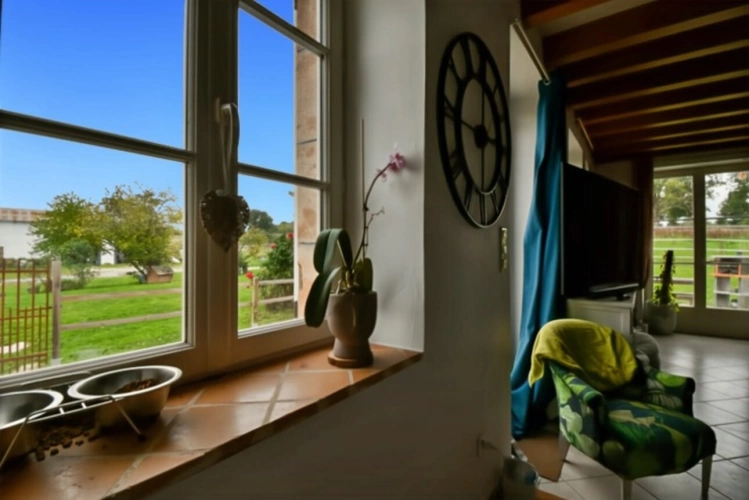 Photos 32 - Équestre - Propriete à vendre 4 pièces VALLON EN SULLY (03)