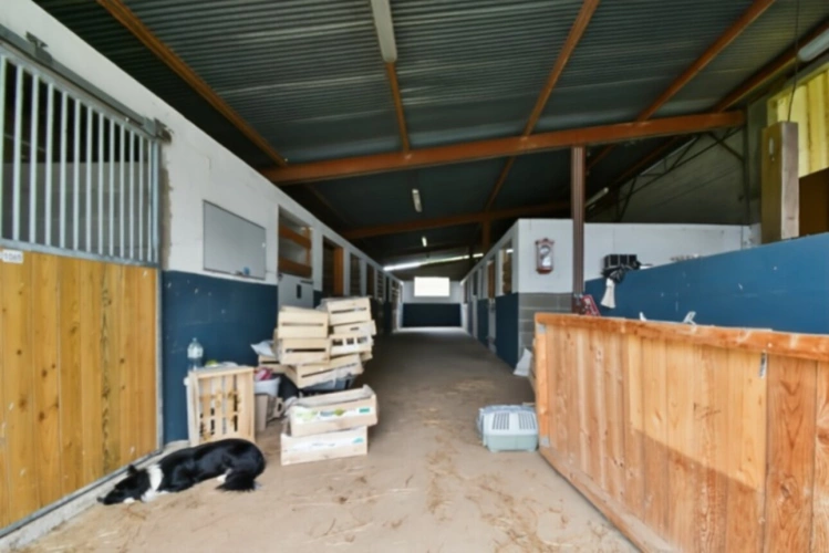 Photos 44 - Équestre - Propriete à vendre 4 pièces VALLON EN SULLY (03)