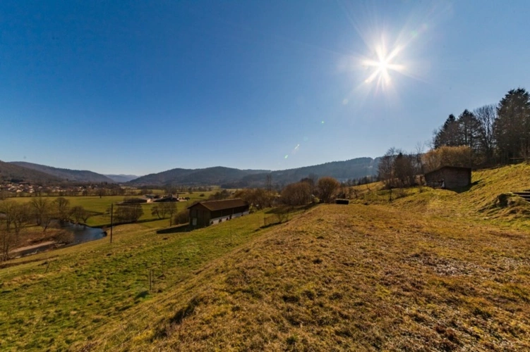 Photos 8 - Équestre - RUPT SUR MOSELLE (88)A vendre propriété T 10 pièces de 195m² sur sous sol + 4 box à chevaux +rucher, terrain 3.6 hectares