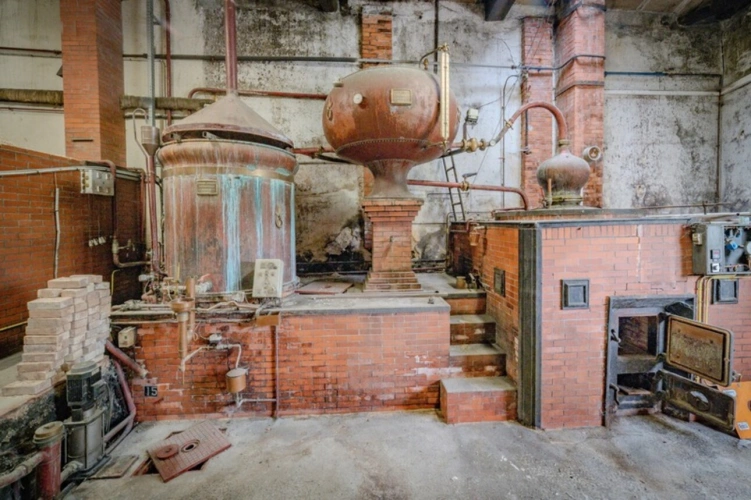 Photos 24 - Prestige - Propriété à vendre 18 pièces proche de COGNAC - Terrain de 3,2 Ha