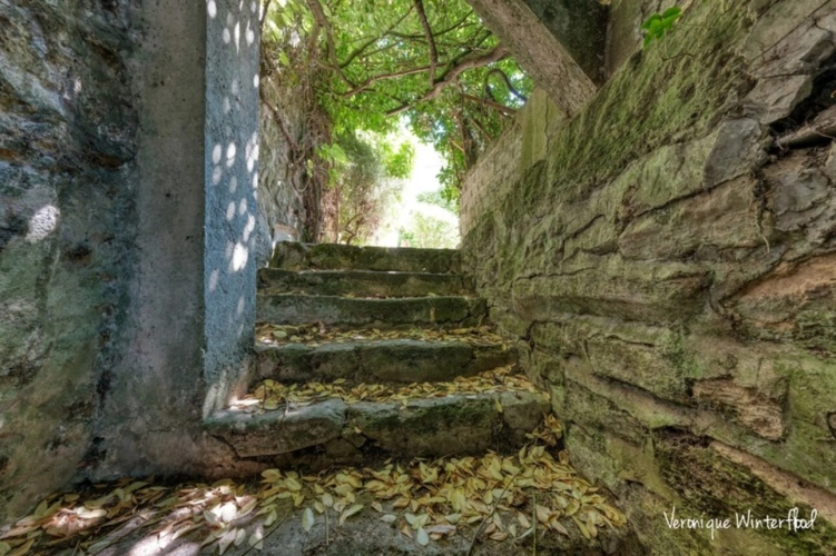 Photos 23 - Rurale - Propriete à vendre 8 pièces NEZEL (78)-231m²-7 chambres-garage-dépendance-terrain 1605m²