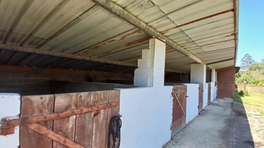 Photos 9 - Équestre - Maison