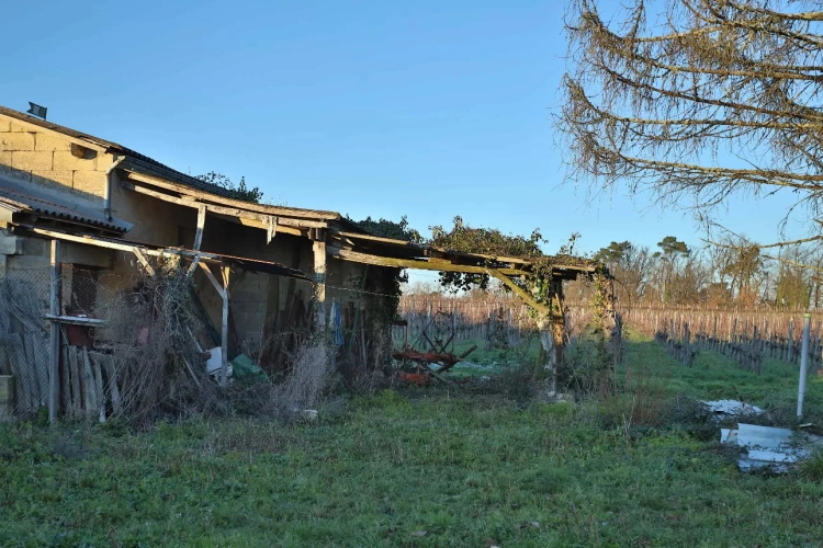 Photos 5 - Touristique - Propriété viticole et ensemble en pierre au calme