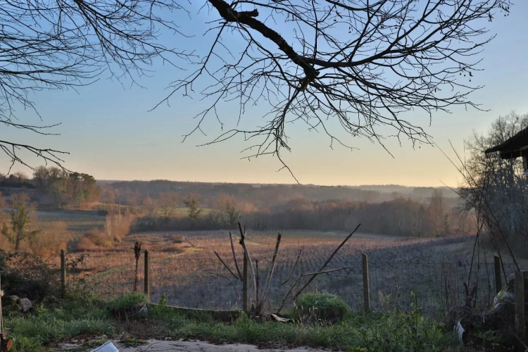 Photos 7 - Touristique - Propriété viticole et ensemble en pierre au calme