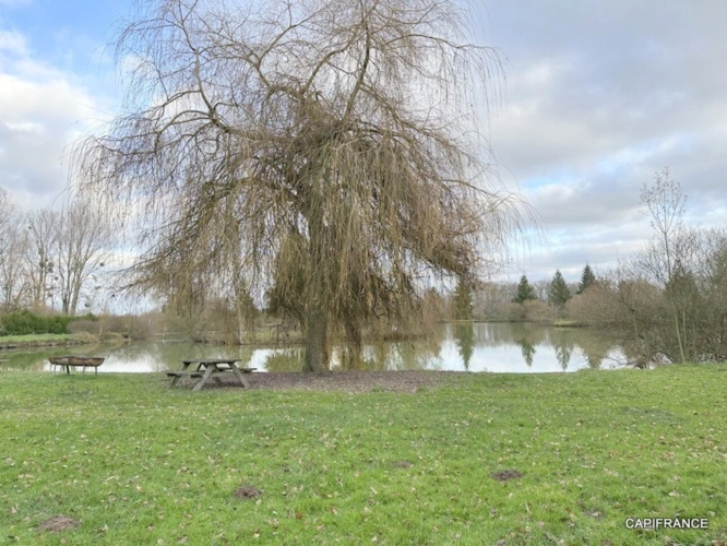 Photos 3 - Rurale - Terrain de loisir avec étangs proche de la Ferté-Bernard (72400)