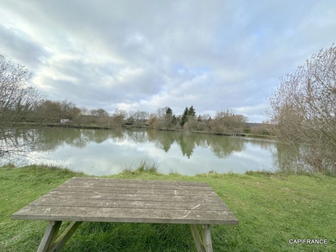 Photos 5 - Rurale - Terrain de loisir avec étangs proche de la Ferté-Bernard (72400)